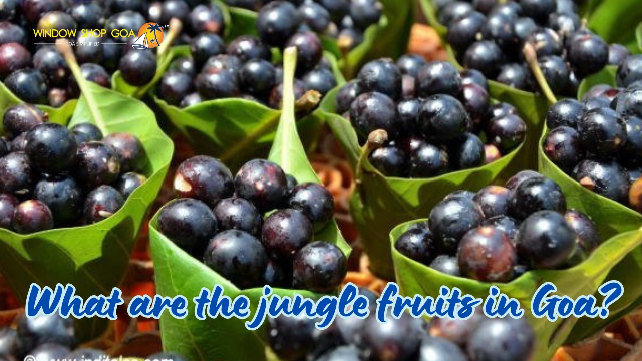 What are the jungle fruits in Goa?